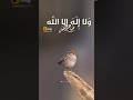 Https Www Instagram Com Reel CsJjt3KJ94m Igshid NTc4MTIwNjQ2 ️