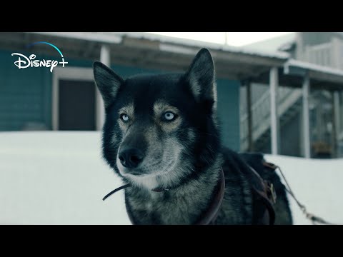 Togo: Una Grande Amicizia - Trailer Ufficiale | Dal 24 Marzo in streaming su Disney+