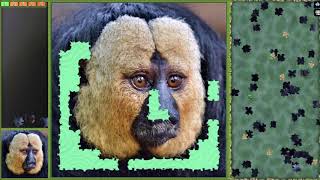 Pixel Puzzles Ultimate ► video № 43 ◄