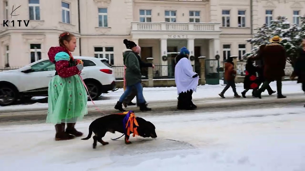 Františkovy Lázně  si užily tradiční Masopustní průvod 🤡🧙🧚‍♀️
