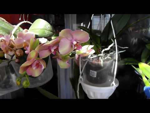 Стаканчик для детки.