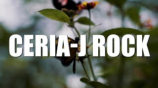 Download lagu Ceria - J Rock (Lirik) mp3 Download lagu Ceria - J Rock (Lirik) mp3