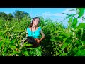 पानी New Bhojpuri Song New Hindi Song Kamlesh Radha Comedy Video Hindi