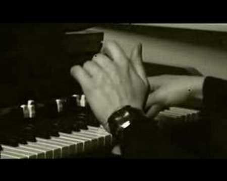 Kris Dane - Rise and down of the black Stallion