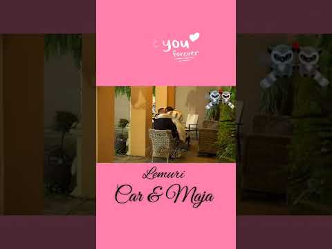 Maja i Car - Lemurijada