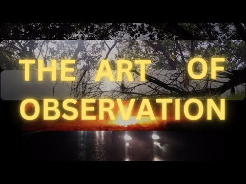 BERNARD CAMPBELL Kevz Video Edit On The Art Of Observation Final