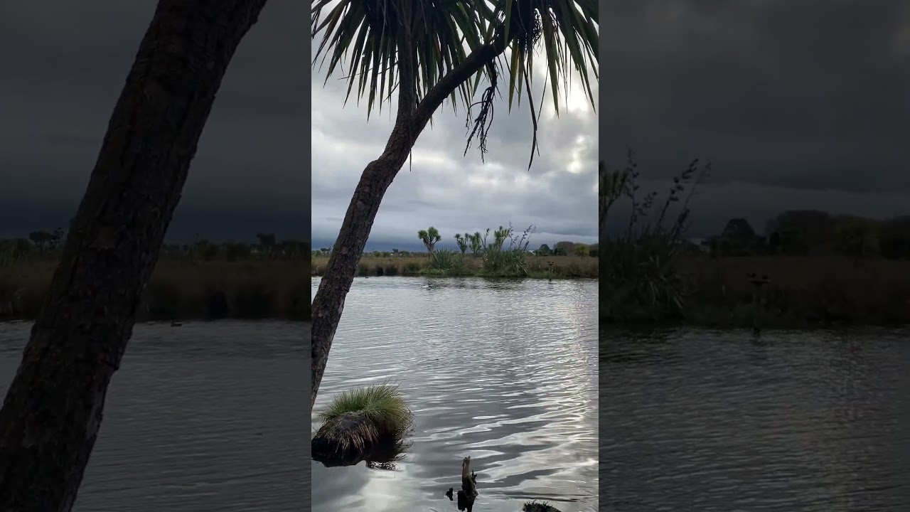 YouTube Short thumbnail