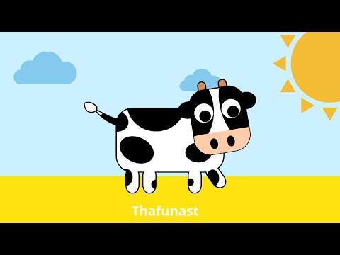 Ijdid new neu Lhayawan l7ayawan animals Tiere   tmazight  nador