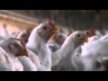Food Inc Clip