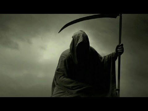 БУДЕТ ВЕЛИКАЯ ЖАТВА... МОЁ ВИДЕНИЕ...