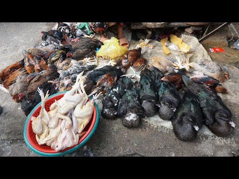 Walk Around Street Market @Chhbar Ampov - Plenty Fresh Fruit, Vegetable, Fish, Duck, Chicken & More