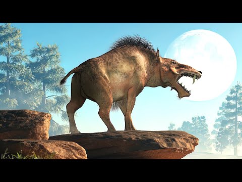 What Was Life Like During The Paleogene Period?