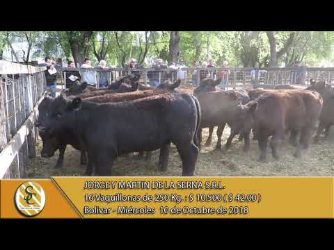 10-10-18 Venta de Hembras - Jorge y Martin De La Serna S.R.L. - Bolivar