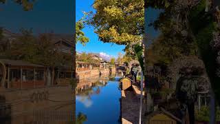 I can’t believe this place is real. Lijiang, China. 🇨🇳 #travel #beautiful