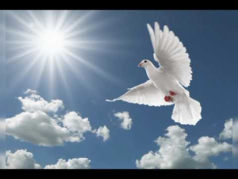 Om Shanti song.nayi subah ki nayi kiran.🙏