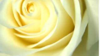 White Roses Music Video