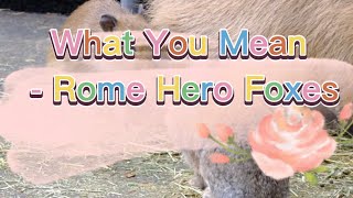 Cover art for what you mean