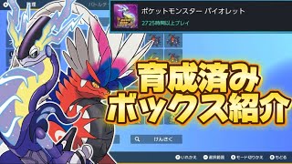 【SVありがとう】3年半プレイしたポケモン廃人のボックス紹介！！