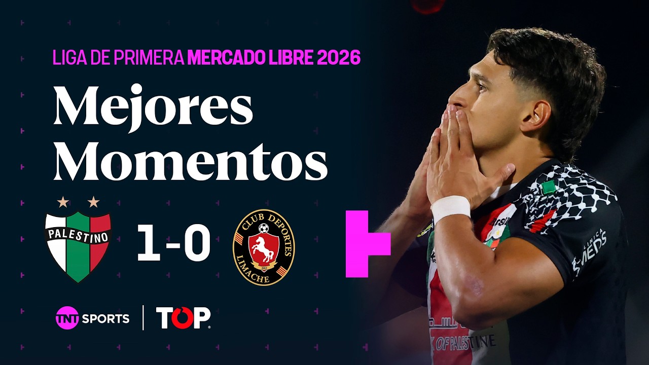 Palestino vs Deportes Limache Highlights