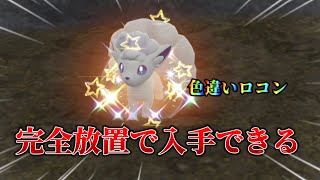 完全放置で色違いアローラロコン入手できます!!【#ポケモンsv 】【#藍の円盤 】