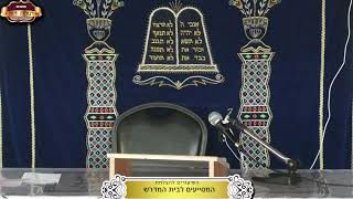 בית המדרש "תורת דוד" ¤ שידור חי ¤ י"ד שבט תשפ"ו (1.2.2026) (מוסדות תורת דוד) - התמונה מוצגת ישירות מתוך אתר האינטרנט יוטיוב. זכויות היוצרים בתמונה שייכות ליוצרה. קישור קרדיט למקור התוכן נמצא בתוך דף הסרטון