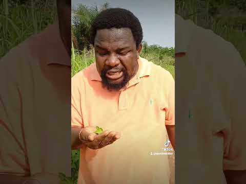 Powerful Anti-Juju & Anti-witchcraft Direction. #Gagawugaga