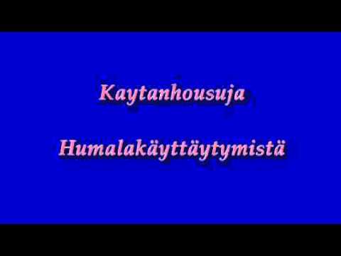 Kaytanhousuja - Humalakäyttäytymistä