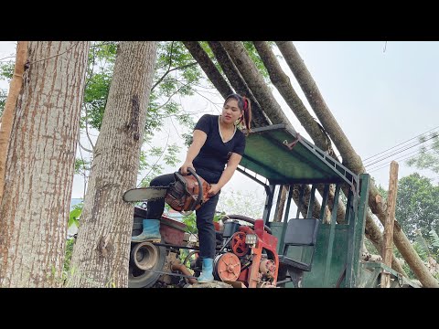 Transport and harvest large volumes of timber alone