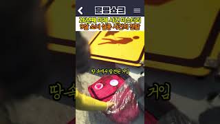 Download lagu America's Worst Unsolved Mystery! The Bizarre Disappearance of a 9-Year-Old Runaway mp3