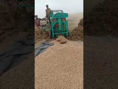 1000 rpm 3 fans cast iron groundnut thresher, capacity: 1000...