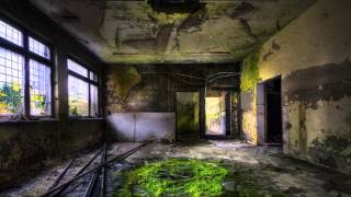 Pantha Du Prince and the Bell Laboratory - Particle