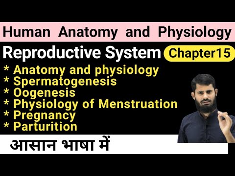 Reproductive System || HAP Chapter 15