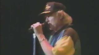 The Beach Boys - Help Me Rhonda (Live in Japan 1991)