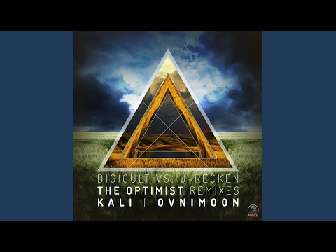 The Optimist (Kali Remix)