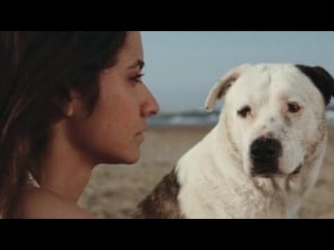 Mi Mejor Amigo - Musica para Mascotas