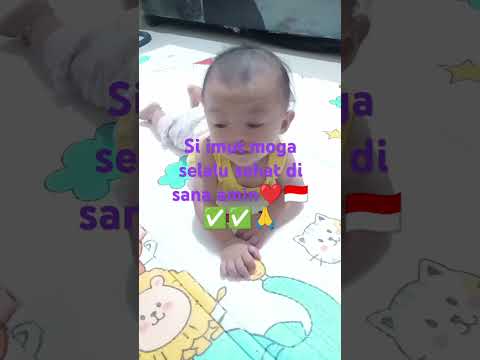 #aku dah lupa #mikky zia#viral#videoviral#trending #indonesia #reelis