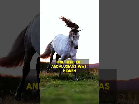 , title : 'Andalusian: Europe's Oldest and Smartest Horse Breed 2#history #world #animals'