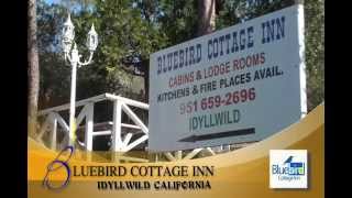 preview picture of video 'Idyllwild Vacation at Bluebird Cottage Inn'
