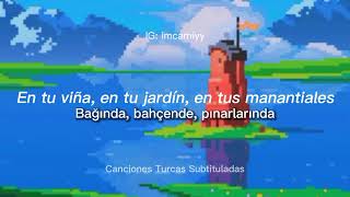 Sezen Aksu - Kutlama (subtitulada en español)