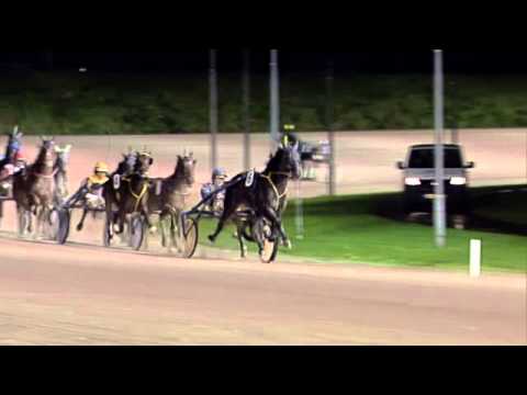 Victoria Park Wolvega 29-11-2013 KOERS 5 VELITE DU GOUTIER - H.W. LANGEWEG JR