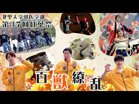 海洋生命科学科 北里大学獣医学部 第37回 紅葉祭2022