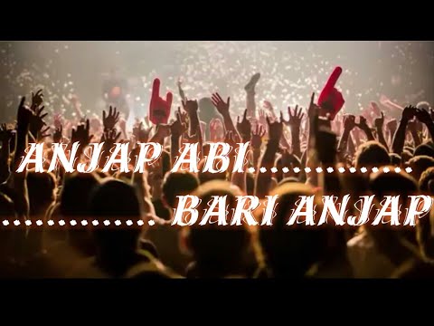 Anjap abi bari anjap DJ mix song (DJ joy and singer)