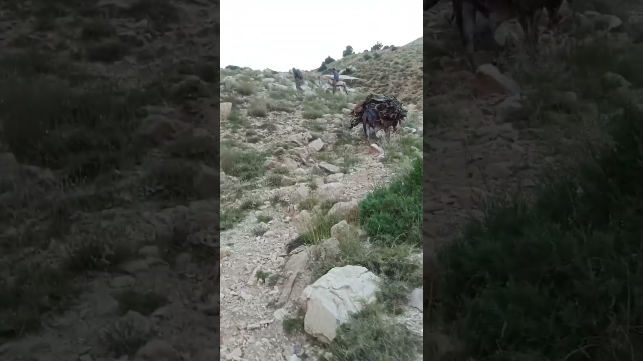 Bakhtiari nomads of Chaharmahal and Bakhtiari mountain ranges of Zagros, Iran #nature#nomads #یوټیوب