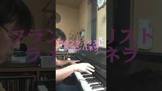 Download lagu フランツ・リスト  ラ カンパネラ mp3