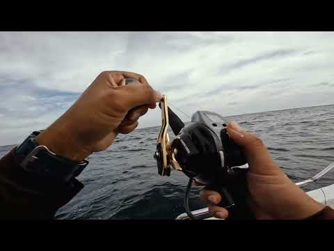 DevilCraft Fishing TV #68 - Electric reel jigging with DC Sea Raptor rod, Ladang Kerapu