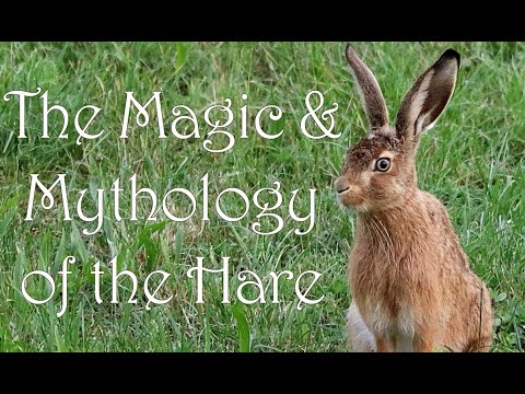 The Magic & Mythology of the Hare