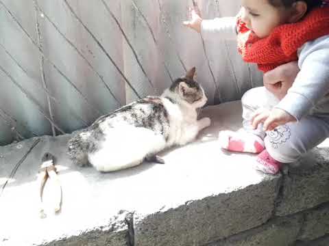 #Səminə Pişiyi ilə | #Samina with her #Cat 1st time