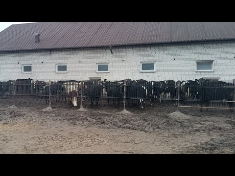 The run is not finished but already in use