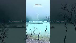 Download lagu Kawah Putih Ciwidey Bandung dan 6 Fakta Menariknya #kawahputihbandung #wisatabandung mp3 Download lagu Kawah Putih Ciwidey Bandung dan 6 Fakta Menariknya #kawahputihbandung #wisatabandung mp3