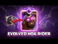 EVOLVED HOG RIDER | Clash Royale